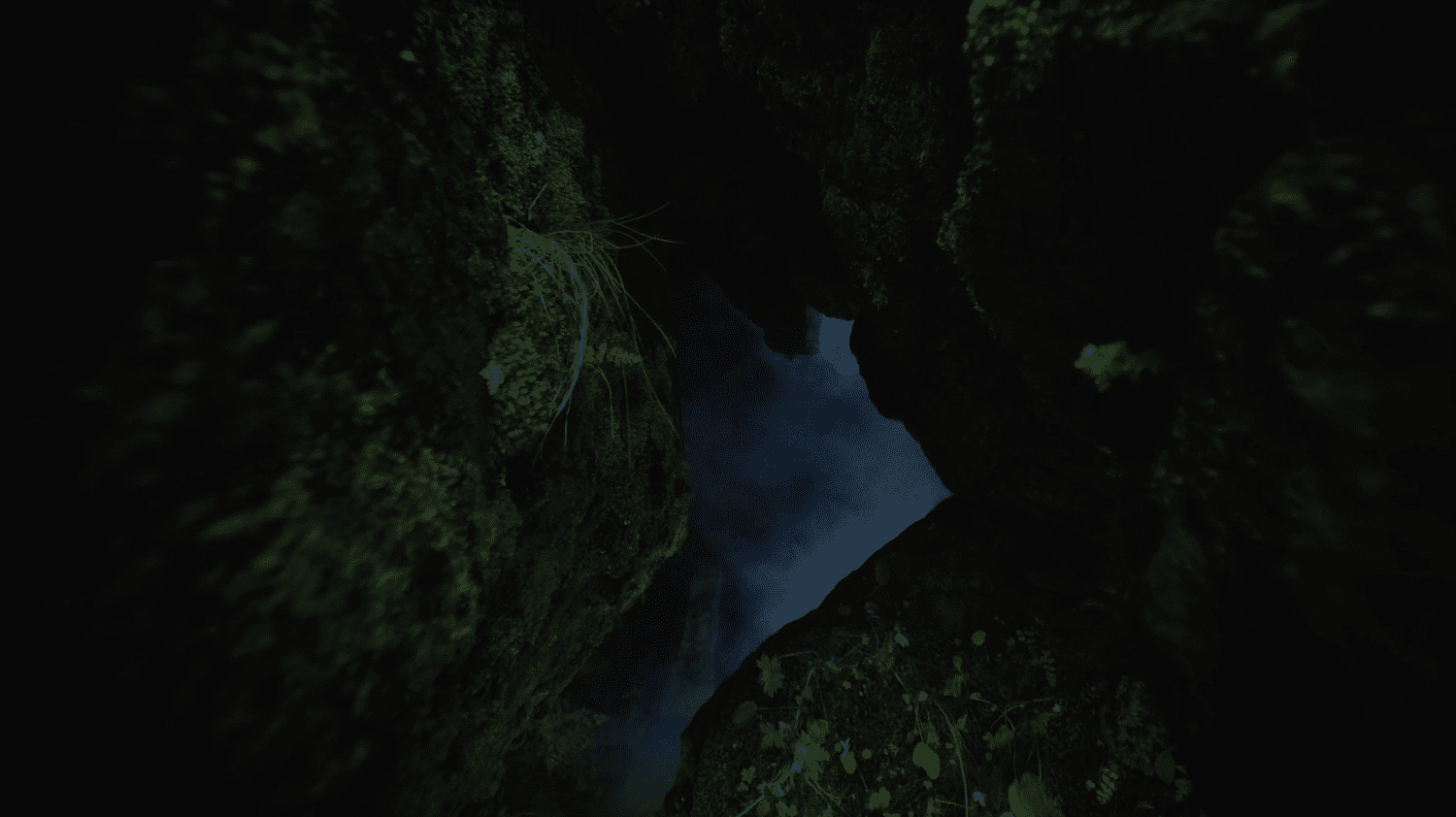 header-bg.png